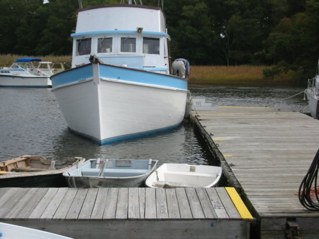 photo5.jpg