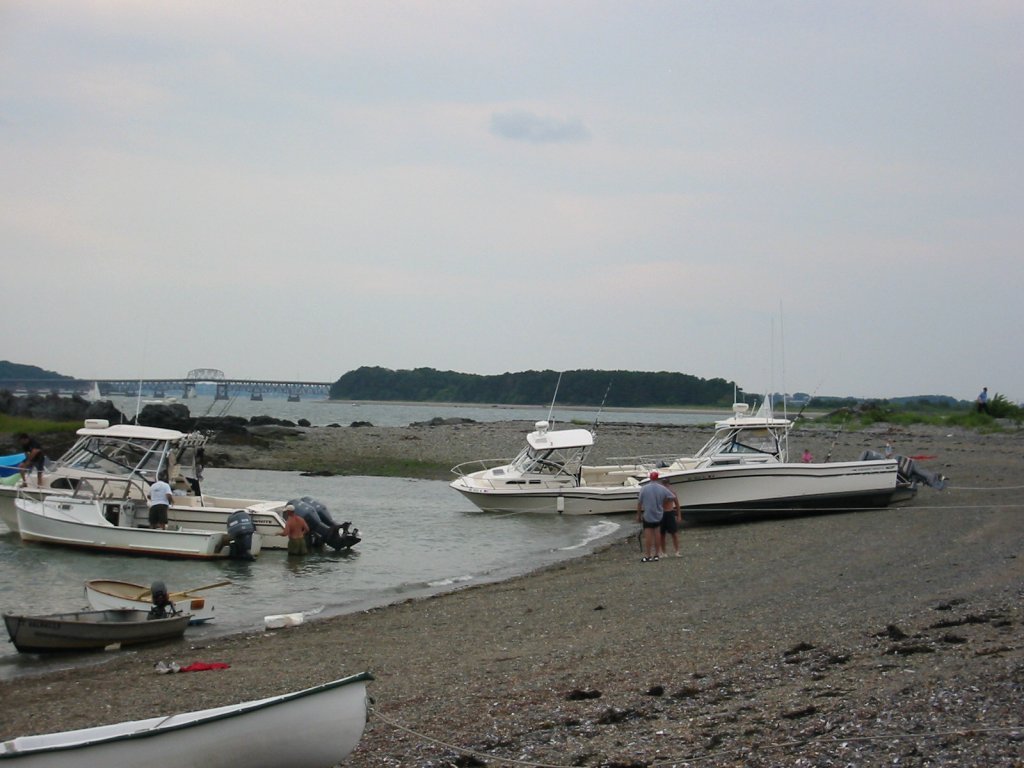viewoflongislandbridgefromrainsfordisland.jpg
