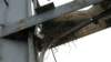 birdsnestonkl_small.jpg