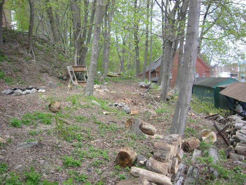 horseshoepitbeginnings.jpg