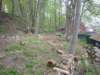 horseshoepitbeginnings_small.jpg