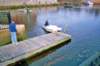 anotherfloatreadytohaul_small.jpg
