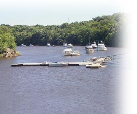 Main dock float & dinghy docks